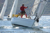 sea-pie of cultra gbr4254 ss13 fri 0419